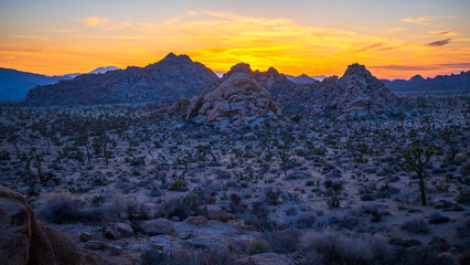 sunset at joshua tree national park in california, usa