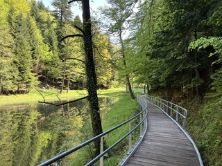 The educational pathway around the Lake Trakoscan 'Faerie Path' (Croatia) - Poučna staza 'Put Vila' ili staze za &scaron;etnju i rekreaciju oko Trako&scaron;ćanskog jezera (Hrvatsko Zagorje, Hrvatska)