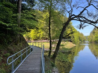 Fototapeta premium The educational pathway around the Lake Trakoscan 'Faerie Path' (Croatia) - Poučna staza 'Put Vila' ili staze za šetnju i rekreaciju oko Trakošćanskog jezera (Hrvatsko Zagorje, Hrvatska)