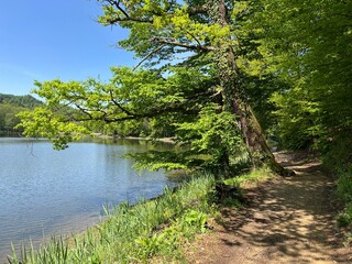 The educational pathway around the Lake Trakoscan 'Faerie Path' (Croatia) - Poučna staza 'Put Vila' ili staze za šetnju i rekreaciju oko Trakošćanskog jezera (Hrvatsko Zagorje, Hrvatska)