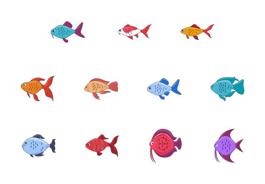 Colorful Fish Ocean Sea Animals Illustrations Set