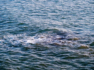 Obraz premium blue water surface