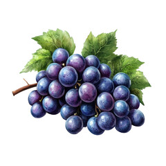 Fototapeta premium Fresh grapes bunch for food photography minimalist environment high-quality visuals