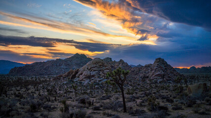 sunset at joshua tree national park in california, usa
