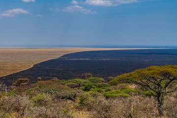 Landscape at the Serengeti national park, Tanzania. Wildlife photo
