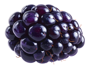 Freshly picked sweet blackberry and a bunch of juicy blue grapes, a healthy fruit dessert isolated on a white background