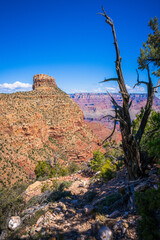 hiking in grand canyon national park in arizona, usa