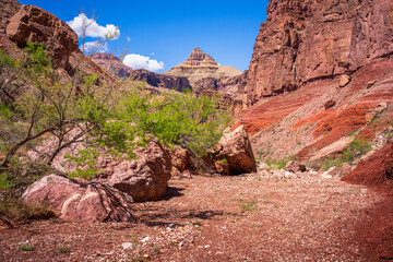 hiking in grand canyon national park in arizona, usa