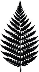 Tropical fern frond silhouette. Isolated nature element vector graphic.