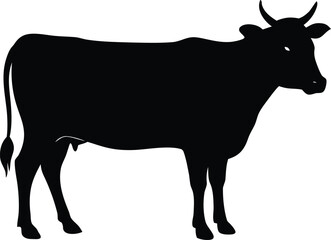 Brahman cow silhouette. Farm livestock animal vector icon.