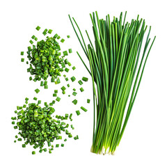 Arrangement of fresh chives whole and chopped isolated on a transparent white background, clipping path