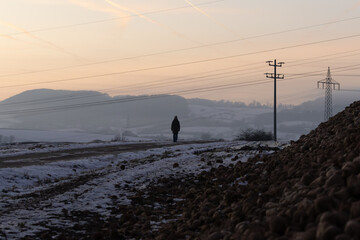 eine Frau geht spazieren an einem sch&ouml;nen Winteraben bei einem wundersch&ouml;nen Sonnenuntergang bei klarem Himmel, &uuml;ber ihr Stromleitungen vorne ein Haufen Zuckerr&uuml;ben im Kalletal