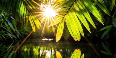 A leafy green plant with a leaf that is reflecting the sun. The sun is shining brightly on the leaf, creating a beautiful and serene scene