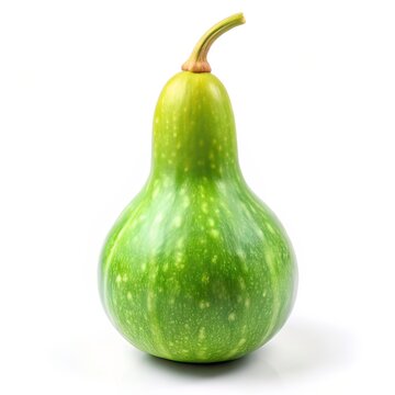 prompt fresh green bottle gourd