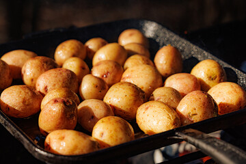 Fresh potatoes sizzle on a grill, absorbing smoky flavors in a cozy backyard gathering under the...