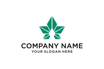 Geometric Star Water Drop Logo Design Template