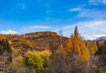 Fototapeta premium autumn landscape in the mountains