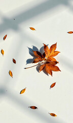small bunch fallen autumn leaves scattered across minimalist white surface soft natural