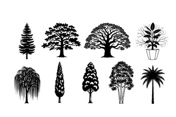 Detailed Tree Silhouettes Black Vector Set: Tall Pine, Broad Oak, Leaf-Bare Branch, and Potted Plants for Landscape and Architectural Renderings.