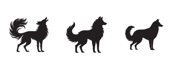 Set of three Maned Wolf silhouettes in different poses, showcasing their tall legs, slender bodies, and distinctive mane, isolated on white background. Vector wildlife illustration