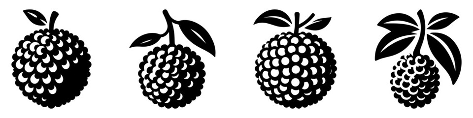 Black and white illustration of four lychee fruits with leaves.