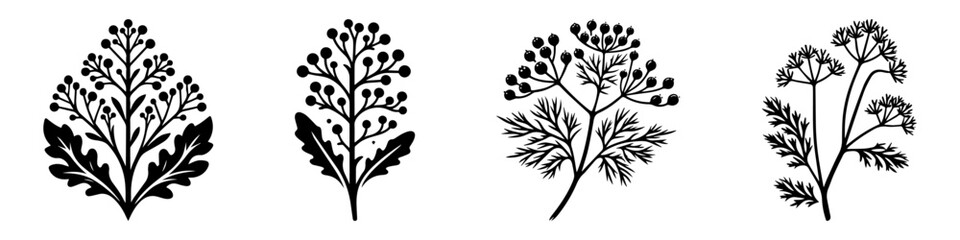 Fototapeta premium Botanical Illustration of Various Plant Species in Black and White.