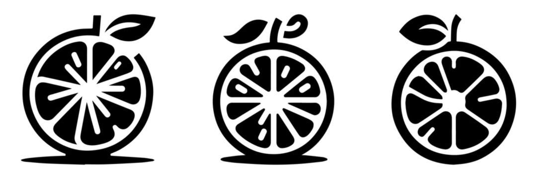 Fresh Citrus Fruit Slices with Leaves and Stems in Black and White.