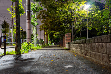 光と影のコントラストが際立つ、日本の路地の雰囲気ある夜景
