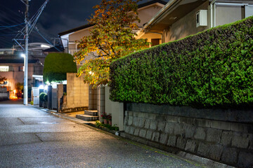 郊外の静かな夜道｜無人の通りと穏やかな空気感