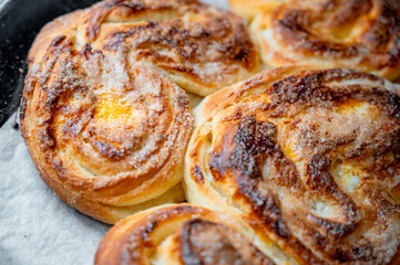 Freshly baked golden buns close-up. Homemade pastry with crispy crust and soft texture, delicious bakery concept.
