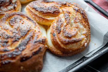 Freshly baked golden buns close-up. Homemade pastry with crispy crust and soft texture, delicious bakery concept.