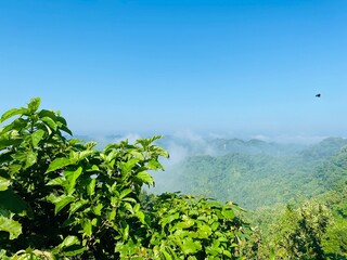 hills with beautiful clouds in the morning. Summer Mountain with green plants and clouds in the sky. wooden hut on Mountain. Texture of green tree forest view from above, Beautiful sunrise.