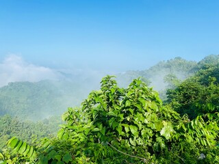 hills with beautiful clouds in the morning. Summer Mountain with green plants and clouds in the sky. wooden hut on Mountain. Texture of green tree forest view from above, Beautiful sunrise.