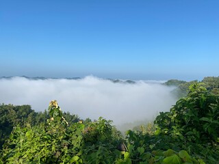 hills with beautiful clouds in the morning. Summer Mountain with green plants and clouds in the sky. wooden hut on Mountain. Texture of green tree forest view from above, Beautiful sunrise.