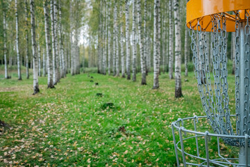yellow discgolf basket in the finnish birch forest