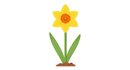 Vibrant Yellow Daffodil Flower with Green Stem and Leaves Illustration
