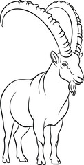 Linear Alpine Ibex with Large Horns on a Plain Background