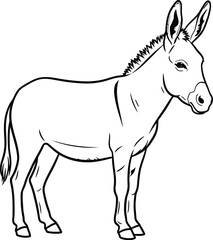 Standing donkey illustration on a plain background, line drawing