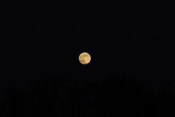 ein gelblicher Mond Vollmond am Nachthimmel © Tattiliana