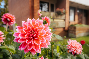 Fototapety na wymiar - Fototapeta24.pl