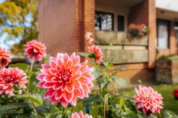 Fototapety na wymiar - Fototapeta24.pl