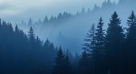 Misty evergreen forest landscape with foggy mountain trees