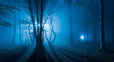 Misty forest landscape with trees and foggy atmosphere