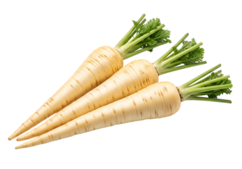 Three parsnips with green tops isolated on transparent background
