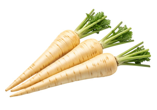 Three parsnips with green tops isolated on transparent background