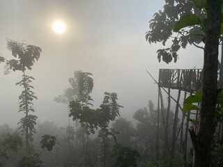 grassy mountain slope with a wooden fence, lit by morning sun. Tall evergreen overlooks hazy valleys. moody winter sunset over the Cotswold countryside. Sunlight on the morning with sea of fog.