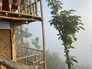 Rainforest ecosystem and healthy environment concept.hills with beautiful clouds in the morning. Summer Mountain with green plants and clouds in the sky. wooden hut on Mountain. Texture of green tree.