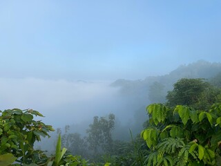 Rainforest ecosystem and healthy environment concept.hills with beautiful clouds in the morning. Summer Mountain with green plants and clouds in the sky. wooden hut on Mountain. Texture of green tree.