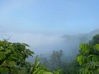 Rainforest ecosystem and healthy environment concept.hills with beautiful clouds in the morning. Summer Mountain with green plants and clouds in the sky. wooden hut on Mountain. Texture of green tree.