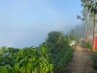 Rainforest ecosystem and healthy environment concept.hills with beautiful clouds in the morning. Summer Mountain with green plants and clouds in the sky. wooden hut on Mountain. Texture of green tree.